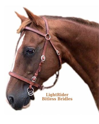 New  ** Cross Over ** Bitless Leather  Bridle with web grip reins Cob Brown 