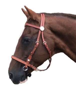 Bitless bridle attachment Brown cushion webbing cob/full size 